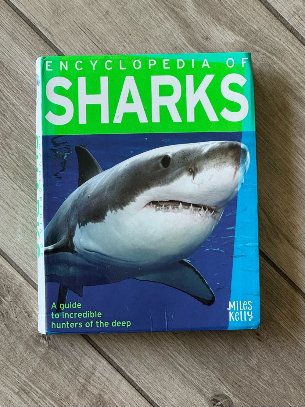 Encyclopedia of Sharks Hardcover - Bright Green & Blue Cover